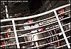 wmc2004_030904_006_web.jpg